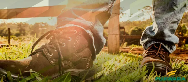 imagem do banner LP - Super Lojas - Centro 1 (Desktop) - Fujiwara